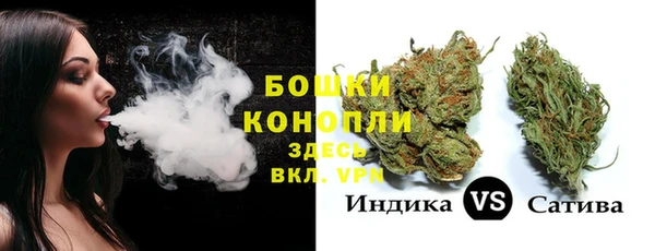 шишки Абаза