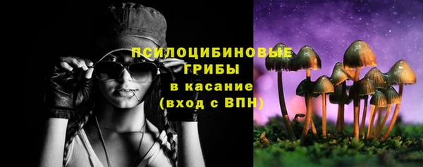 стаф Нязепетровск