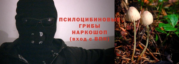 МДПВ Абинск