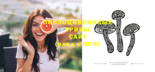 MESCALINE Няндома