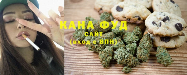 шишки Абаза